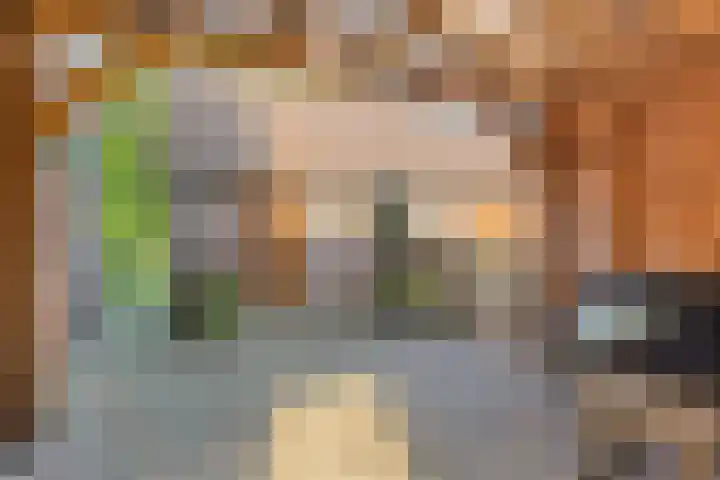 Stegingaweg 9 Oosterwolde thumbnail 39