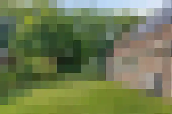 Stegingaweg 9 Oosterwolde thumbnail 40