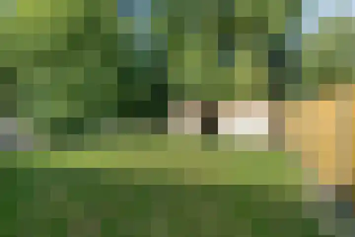 Stegingaweg 9 Oosterwolde thumbnail 41