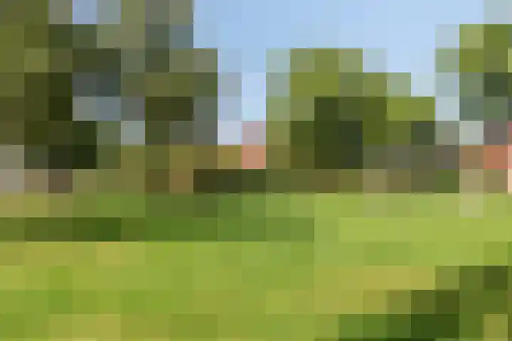 Stegingaweg 9 Oosterwolde thumbnail 43