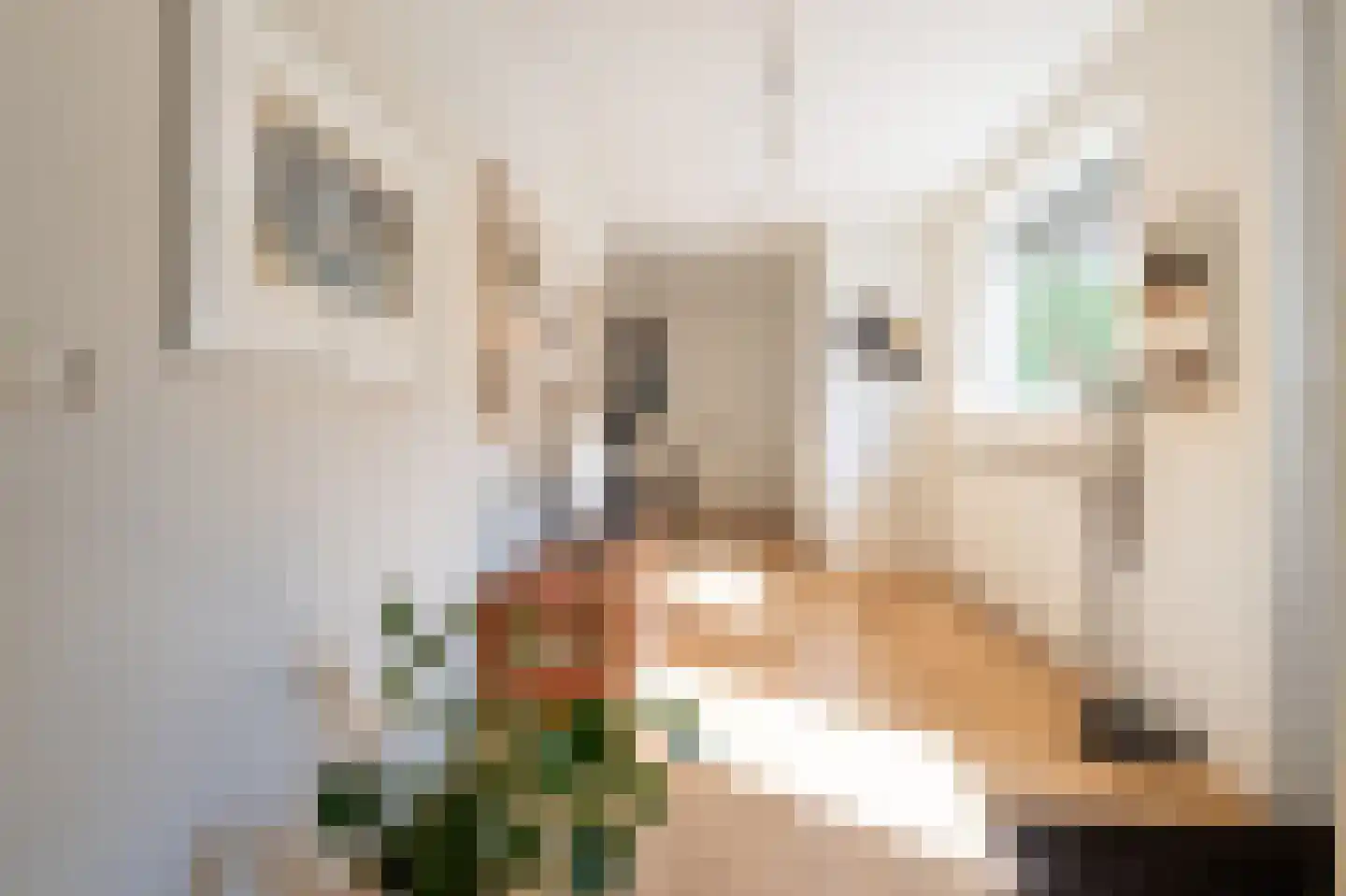 Stegingepad 15 Emmen thumbnail 15