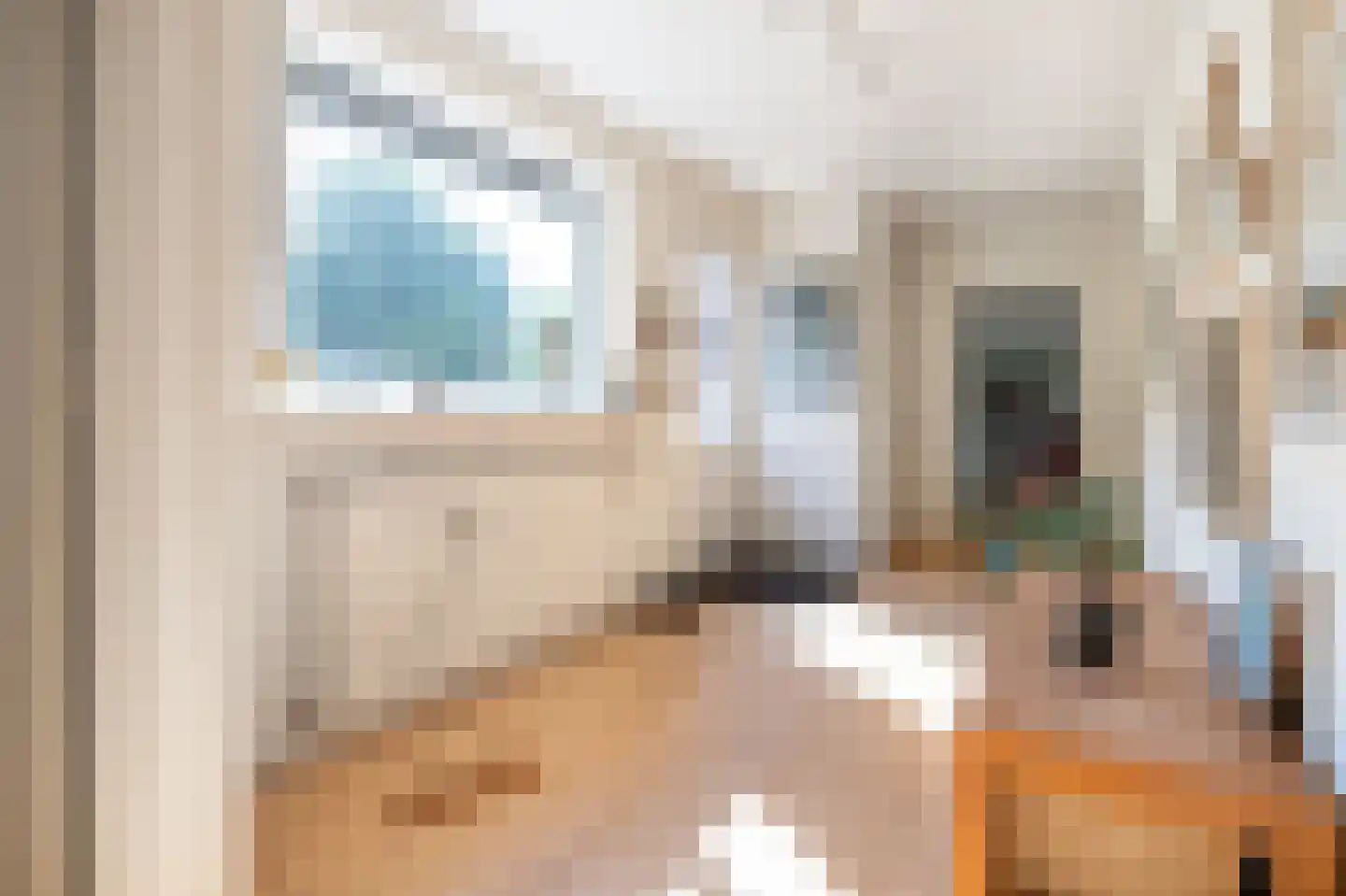 Stegingepad 15 Emmen thumbnail 16