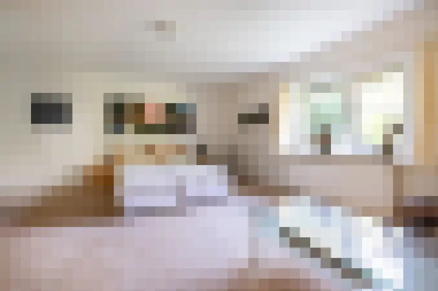 Stegingepad 15 Emmen thumbnail 18