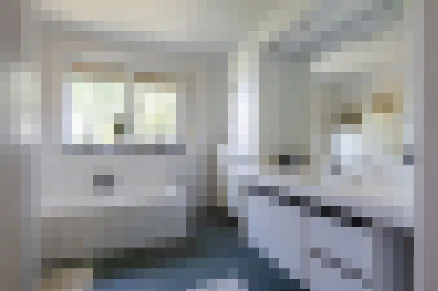 Stegingepad 15 Emmen thumbnail 19