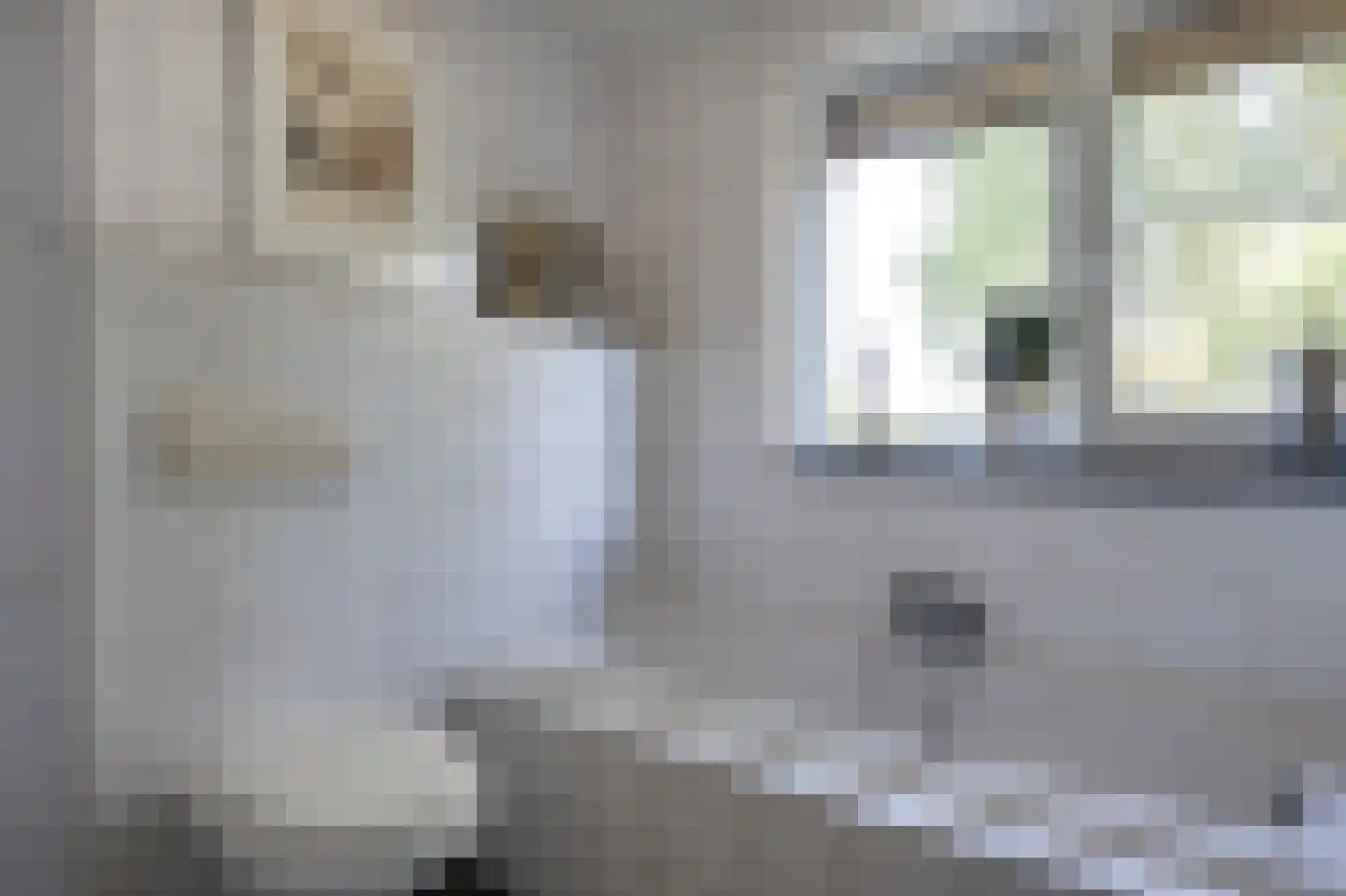 Stegingepad 15 Emmen thumbnail 21