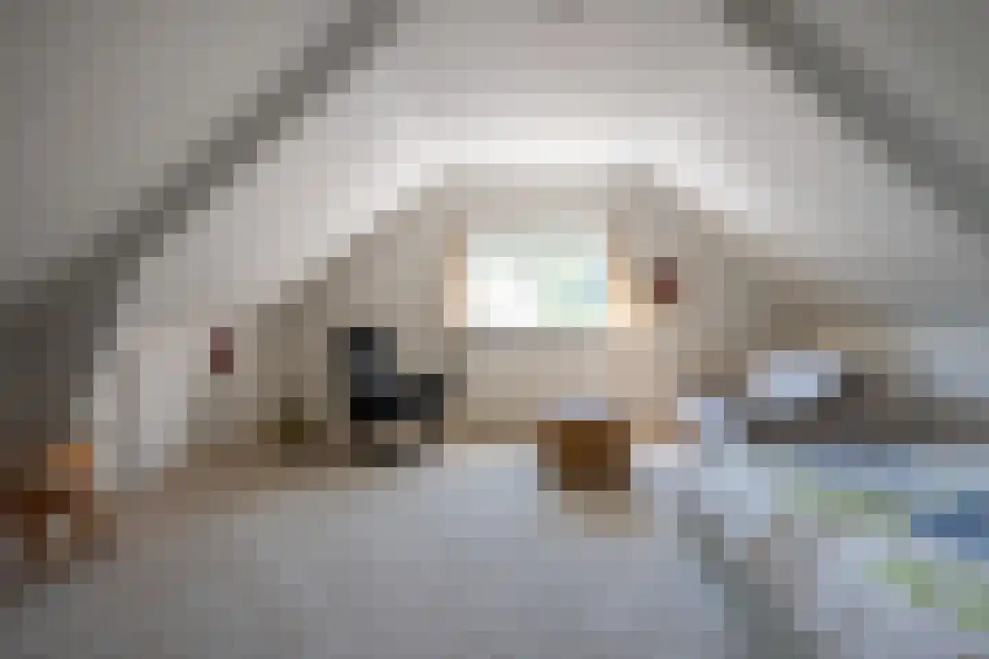 Stegingepad 15 Emmen thumbnail 24