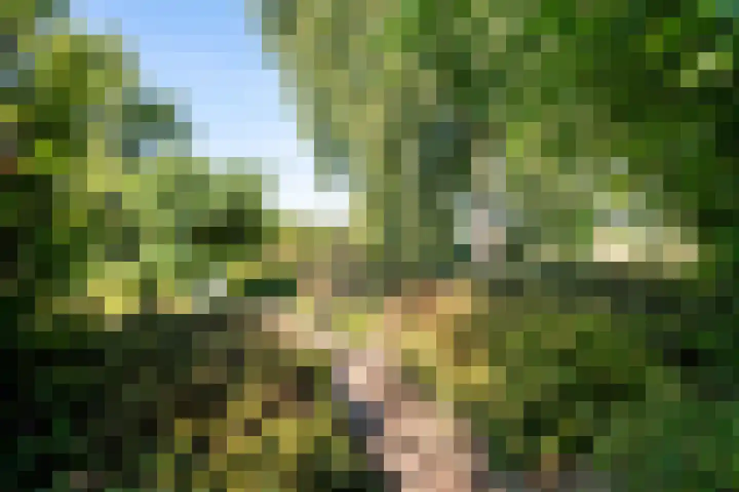 Stegingepad 15 Emmen thumbnail 34