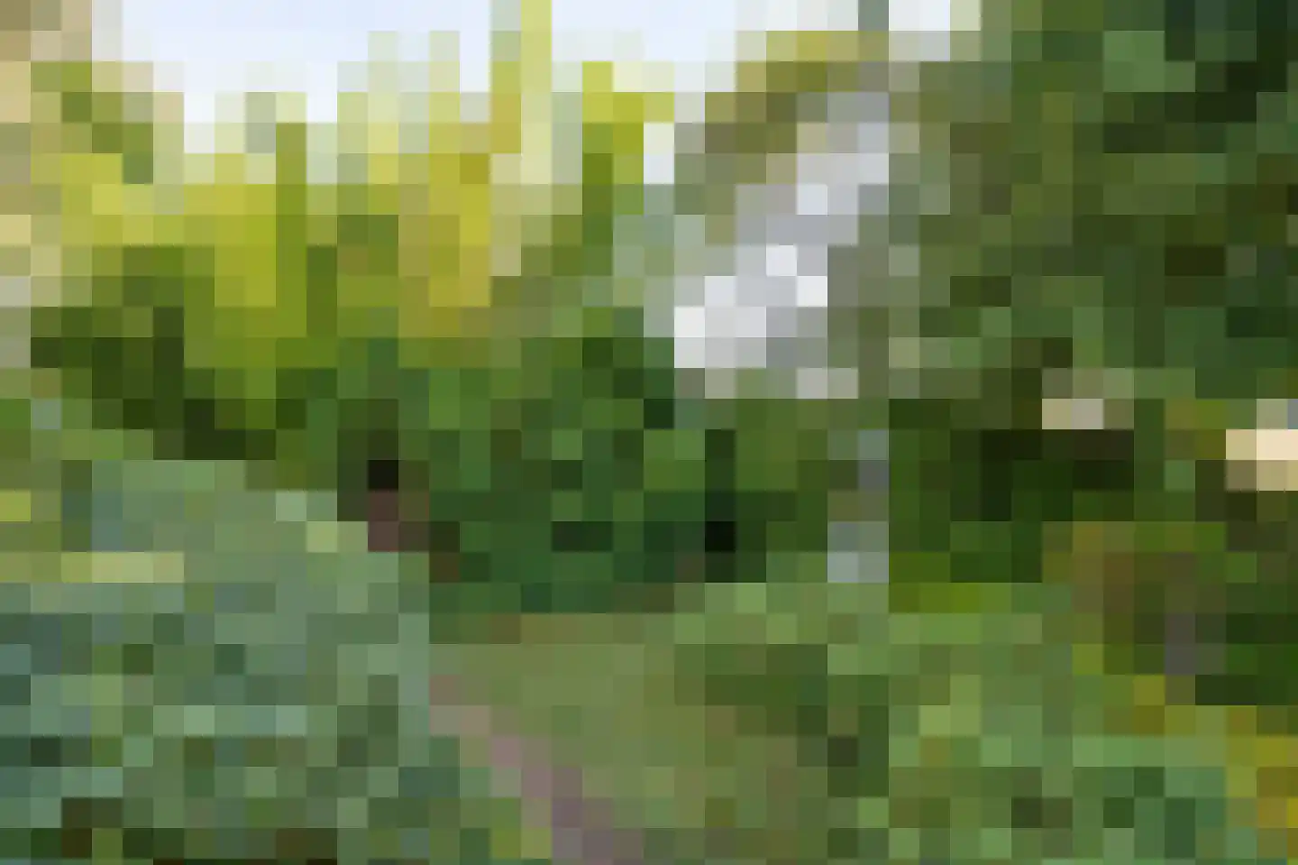 Stegingepad 15 Emmen thumbnail 35
