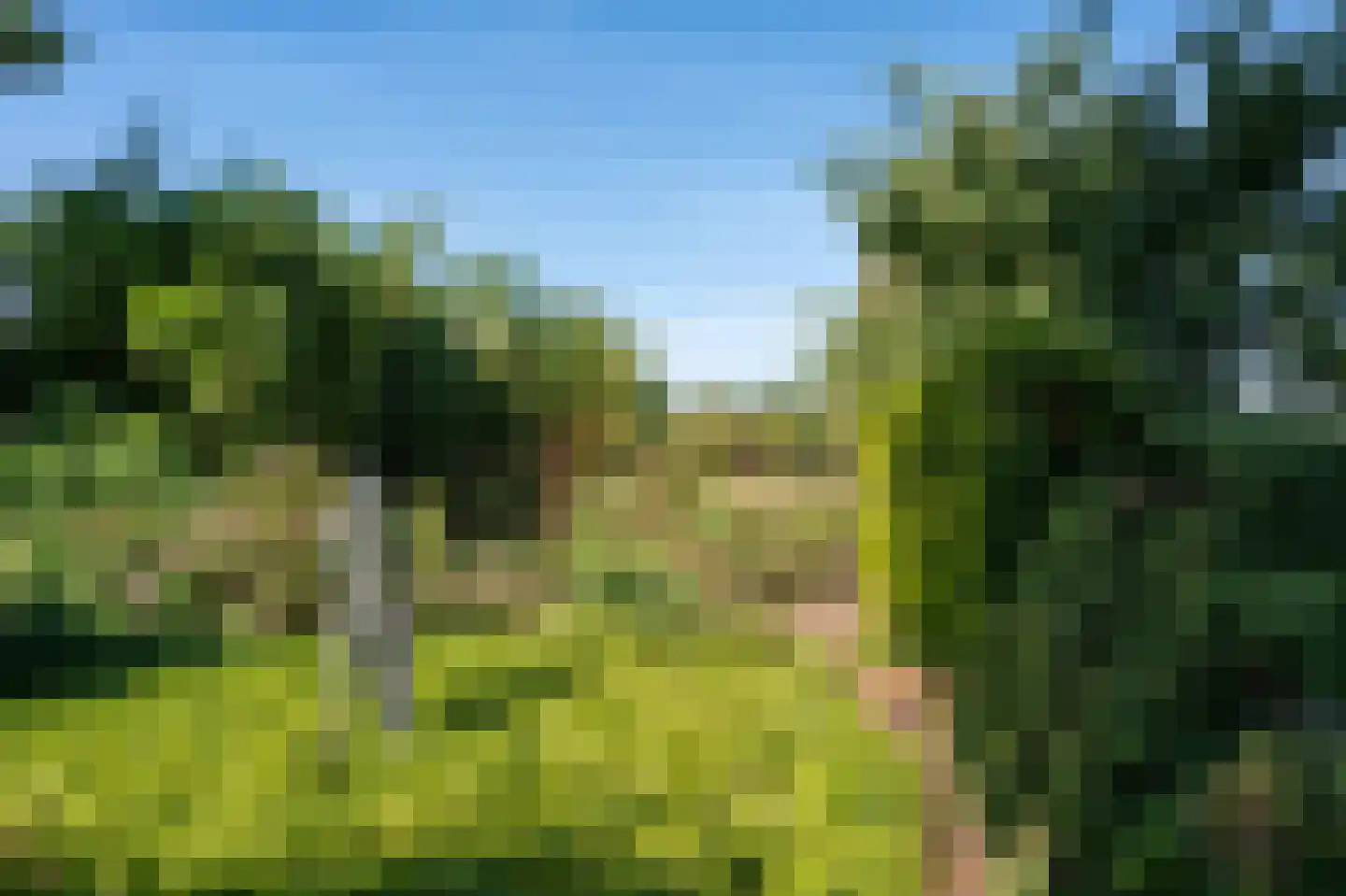 Stegingepad 15 Emmen thumbnail 37
