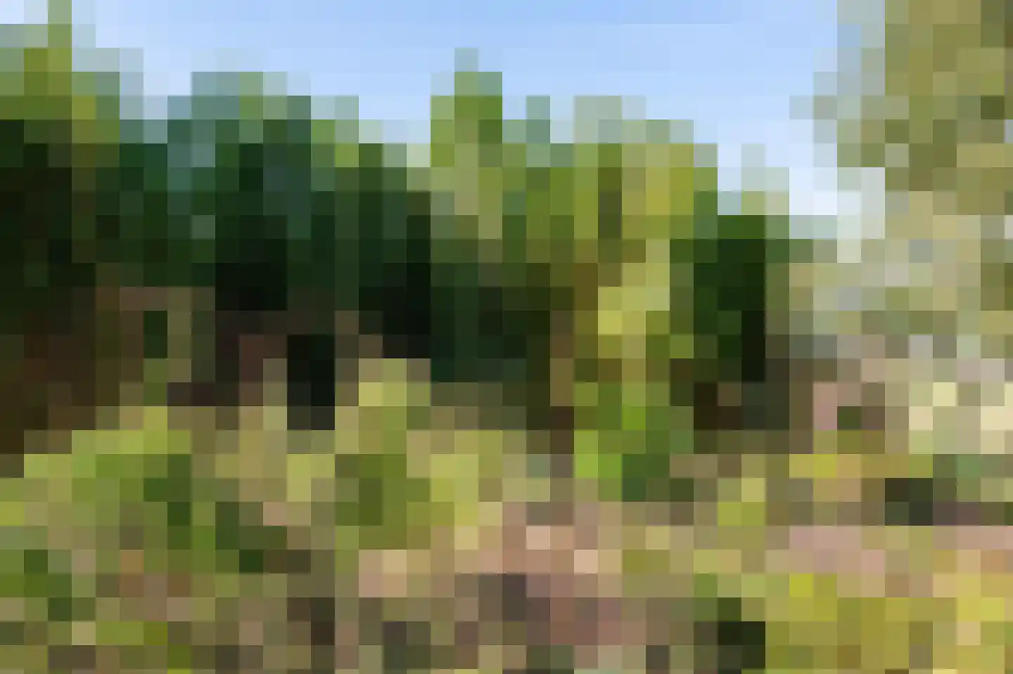 Stegingepad 15 Emmen thumbnail 39