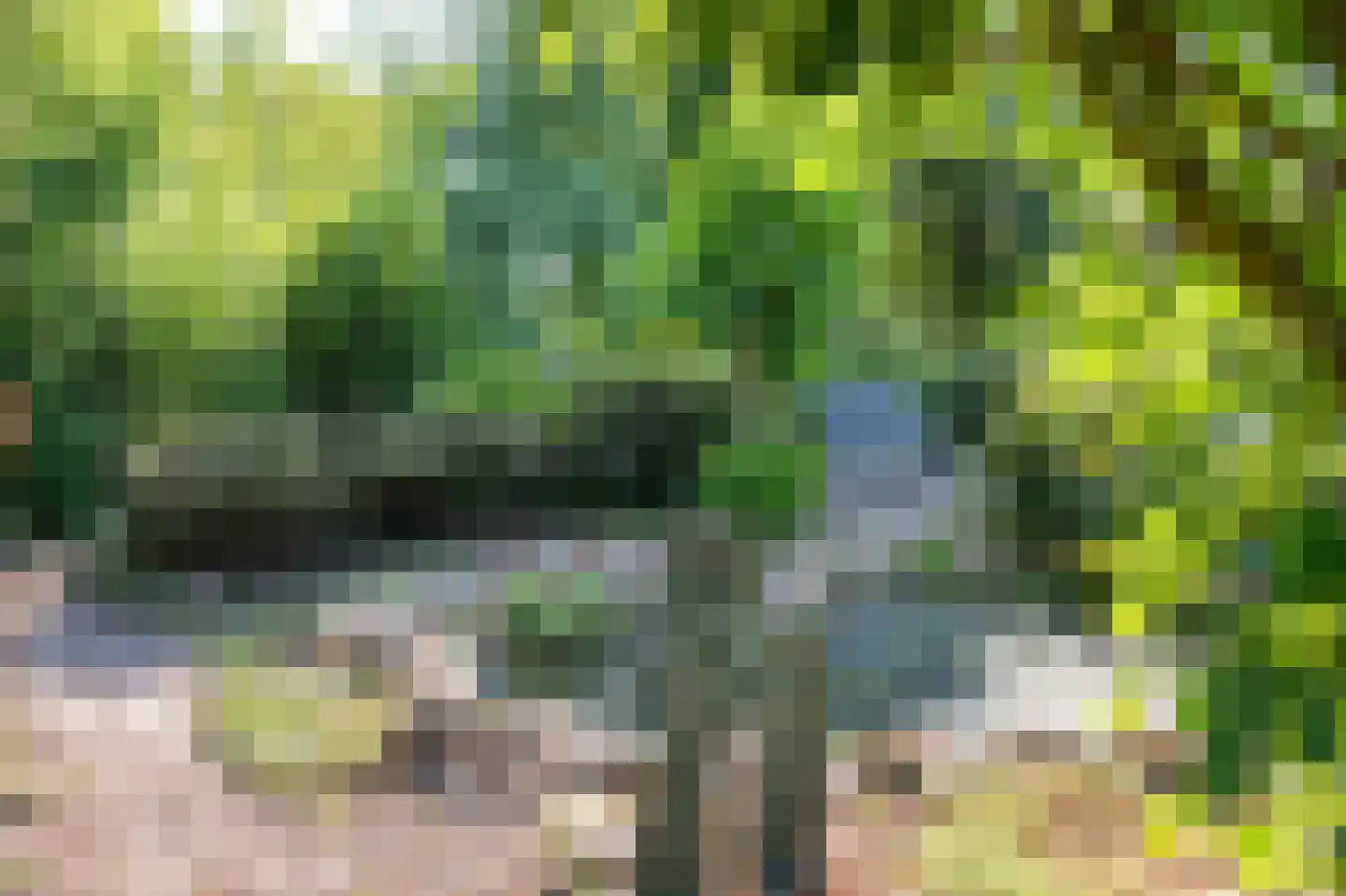 Stegingepad 15 Emmen thumbnail 40