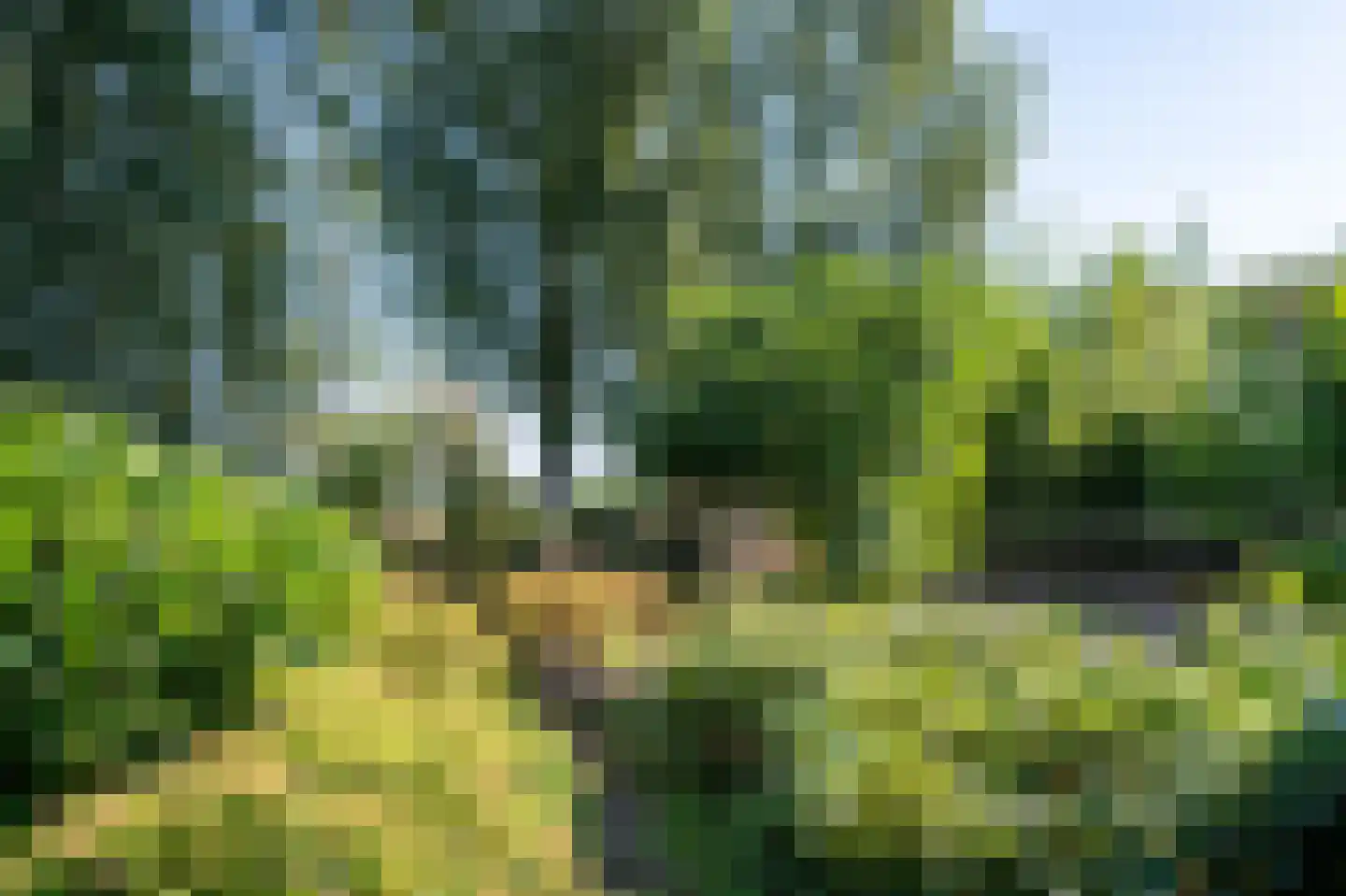 Stegingepad 15 Emmen thumbnail 41