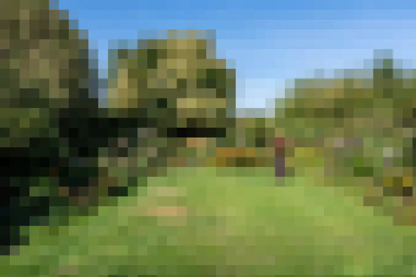 Stegingepad 15 Emmen thumbnail 42