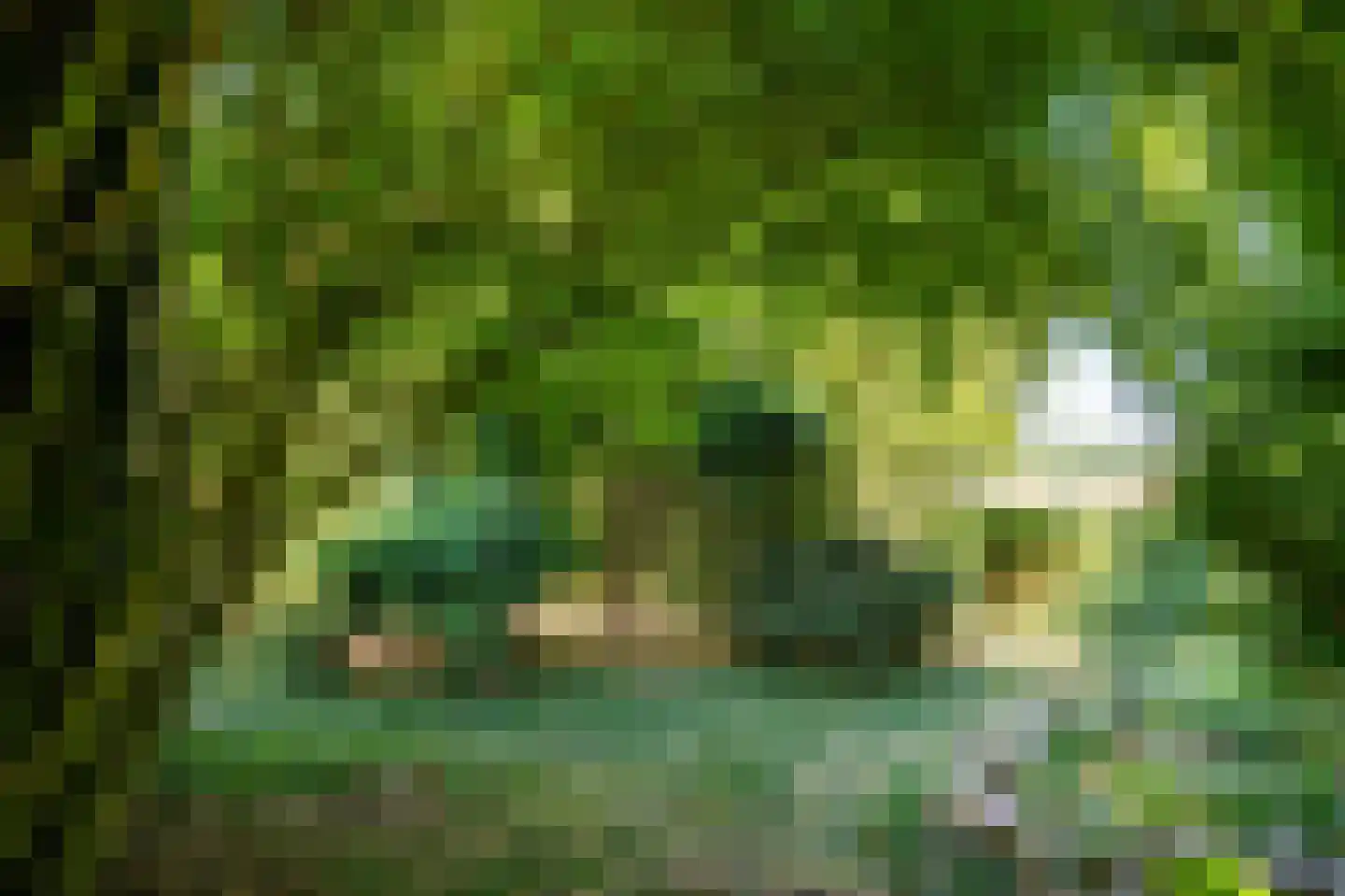 Stegingepad 15 Emmen thumbnail 43