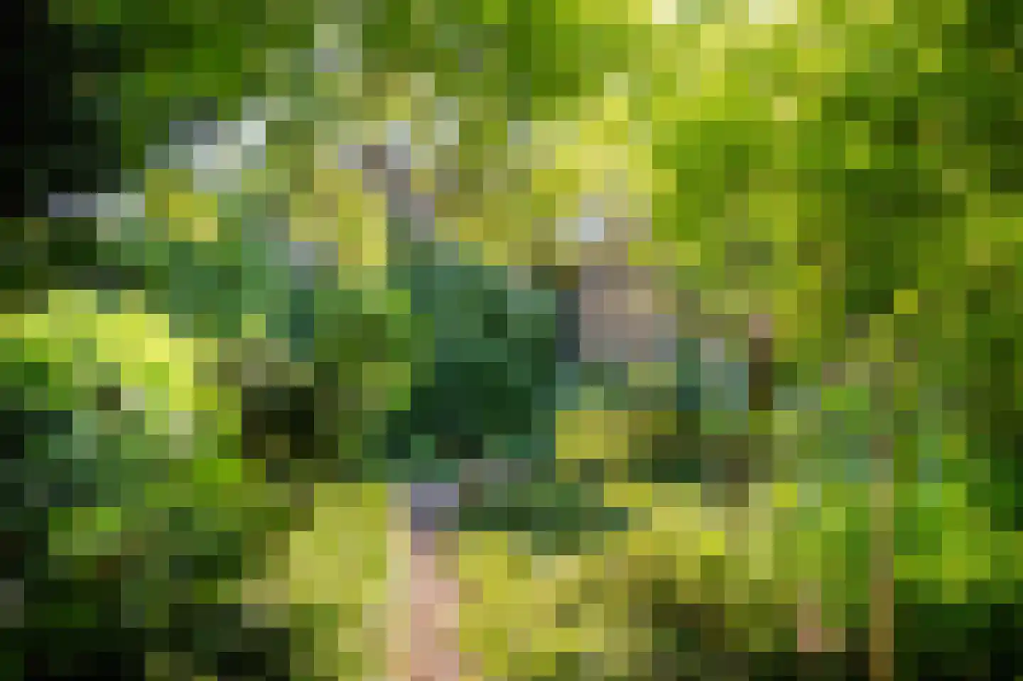 Stegingepad 15 Emmen thumbnail 44