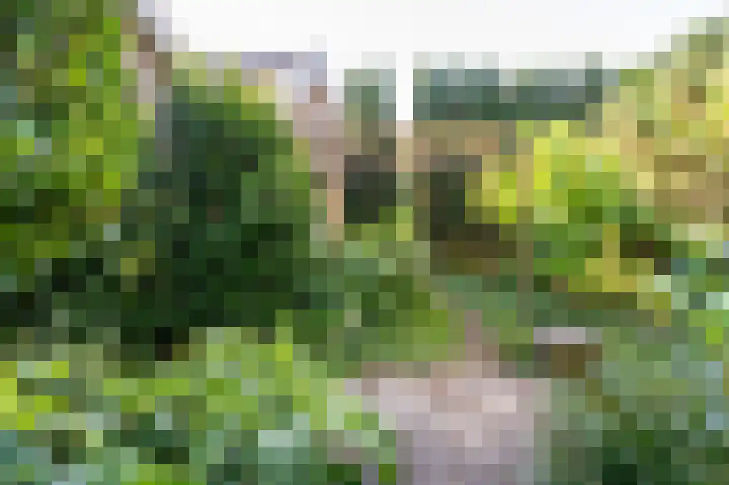 Stegingepad 15 Emmen thumbnail 49