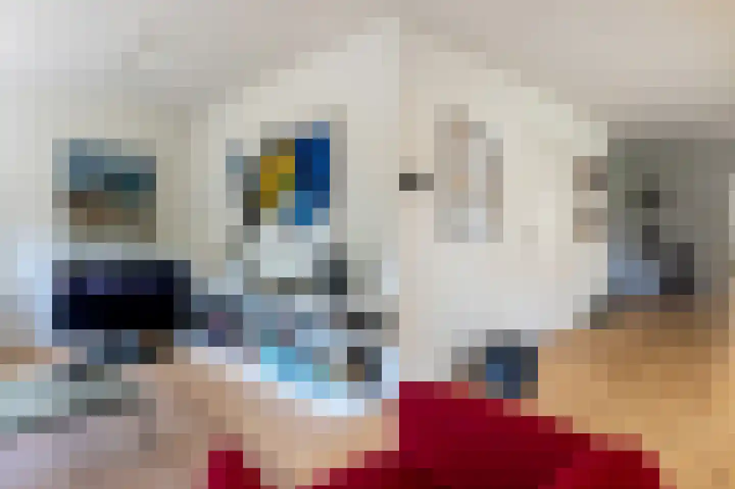 Stegingepad 15 Emmen thumbnail 8