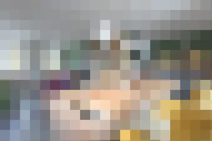 Steiger 1 c Vollenhove thumbnail 10