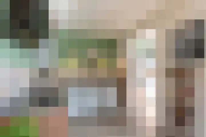 Steiger 1 c Vollenhove thumbnail 12