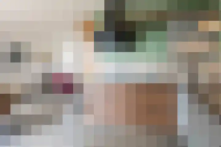 Steiger 1 c Vollenhove thumbnail 13