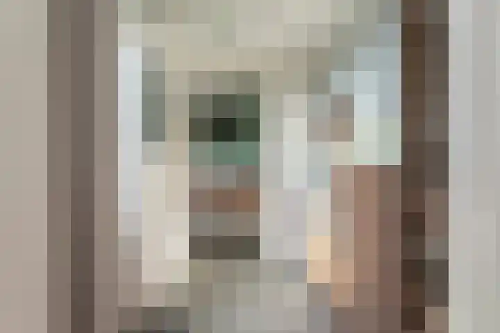 Steiger 1 c Vollenhove thumbnail 15