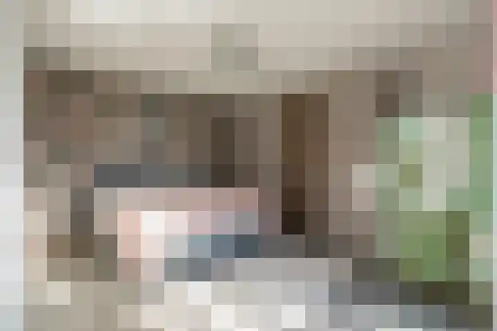 Steiger 1 c Vollenhove thumbnail 16