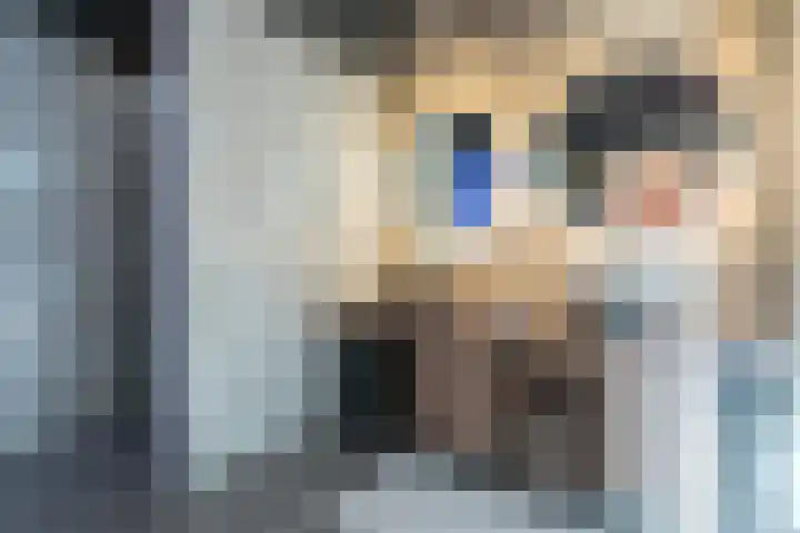 Steiger 1 c Vollenhove thumbnail 21