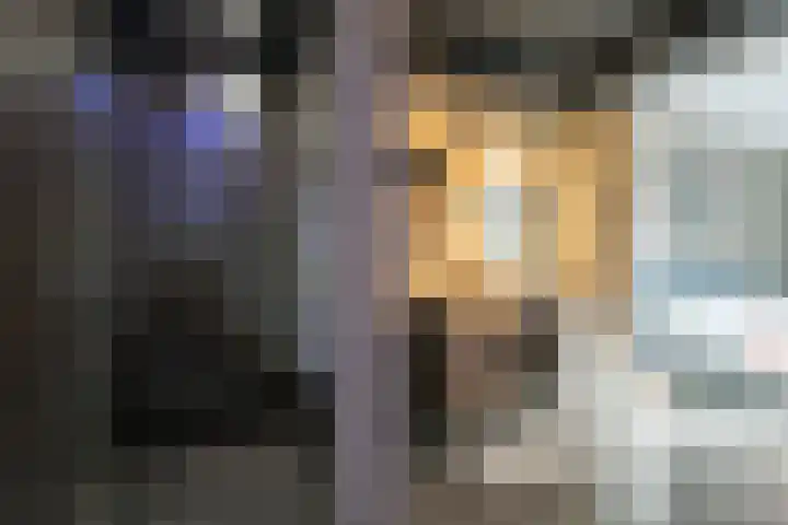 Steiger 1 c Vollenhove thumbnail 22