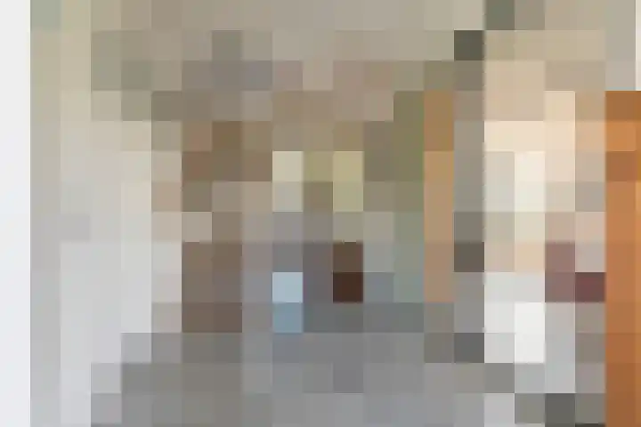 Steiger 1 c Vollenhove thumbnail 23