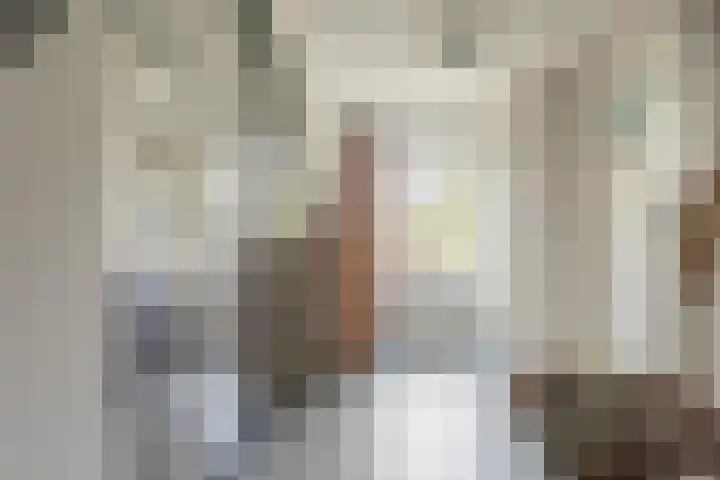 Steiger 1 c Vollenhove thumbnail 24