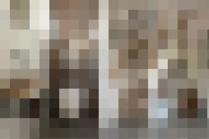 Steiger 1 c Vollenhove thumbnail 25
