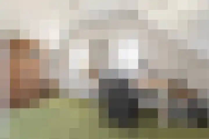 Steiger 1 c Vollenhove thumbnail 27