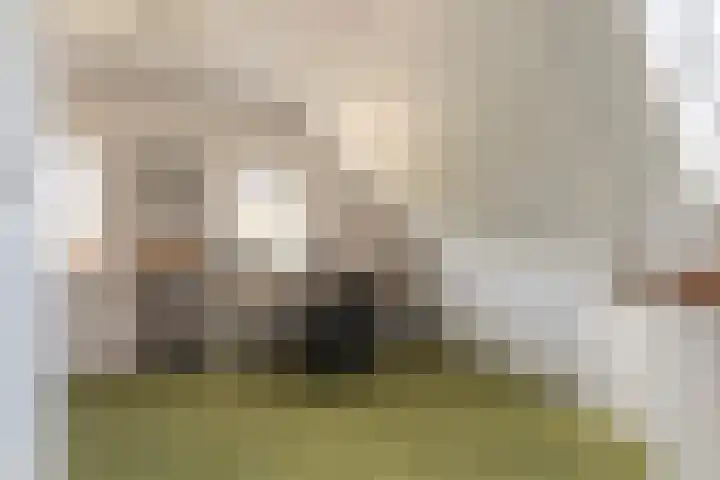 Steiger 1 c Vollenhove thumbnail 28