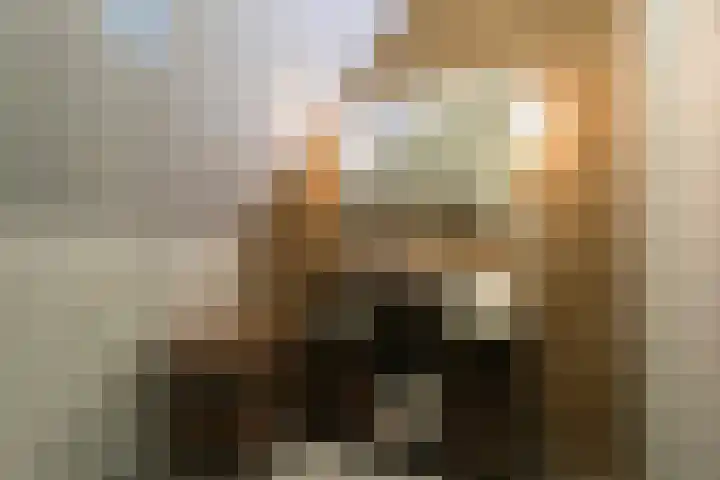 Steiger 1 c Vollenhove thumbnail 30