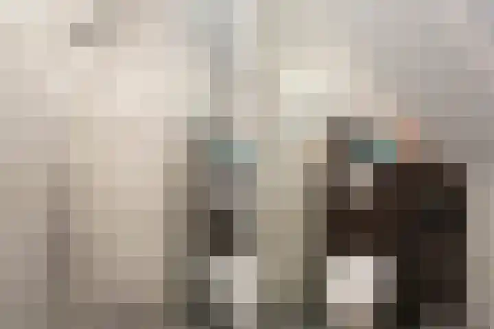 Steiger 1 c Vollenhove thumbnail 31
