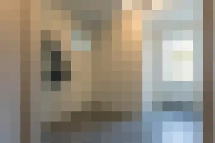 Steiger 1 c Vollenhove thumbnail 32