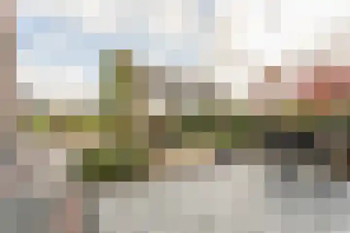 Steiger 1 c Vollenhove thumbnail 34