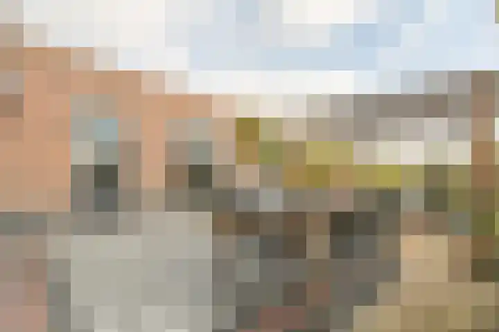 Steiger 1 c Vollenhove thumbnail 35