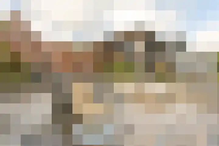Steiger 1 c Vollenhove thumbnail 37