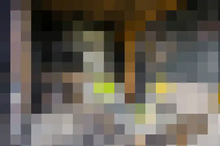 Steiger 1 c Vollenhove thumbnail 38