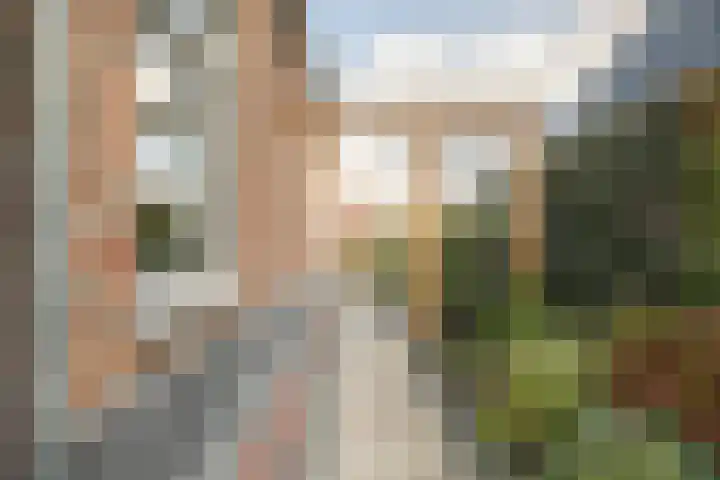 Steiger 1 c Vollenhove thumbnail 41