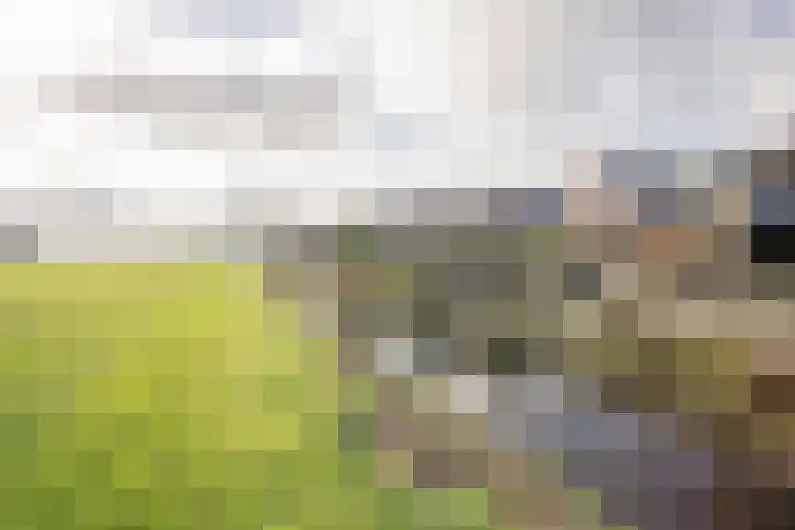 Steiger 1 c Vollenhove thumbnail 44