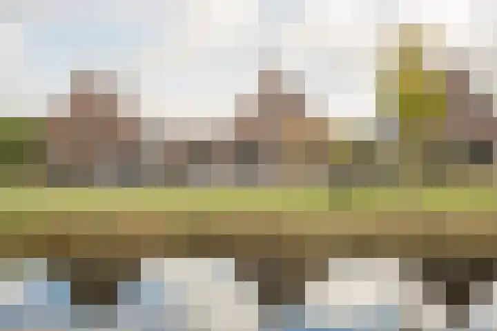 Steiger 1 c Vollenhove thumbnail 45