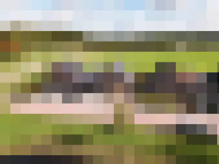 Steiger 1 c Vollenhove thumbnail 46