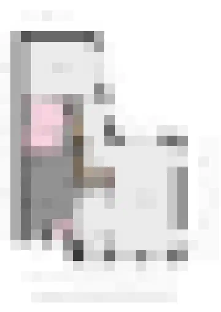Steiger 1 c Vollenhove thumbnail 47
