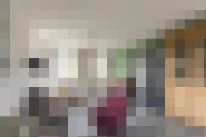 Steiger 1 c Vollenhove thumbnail 6