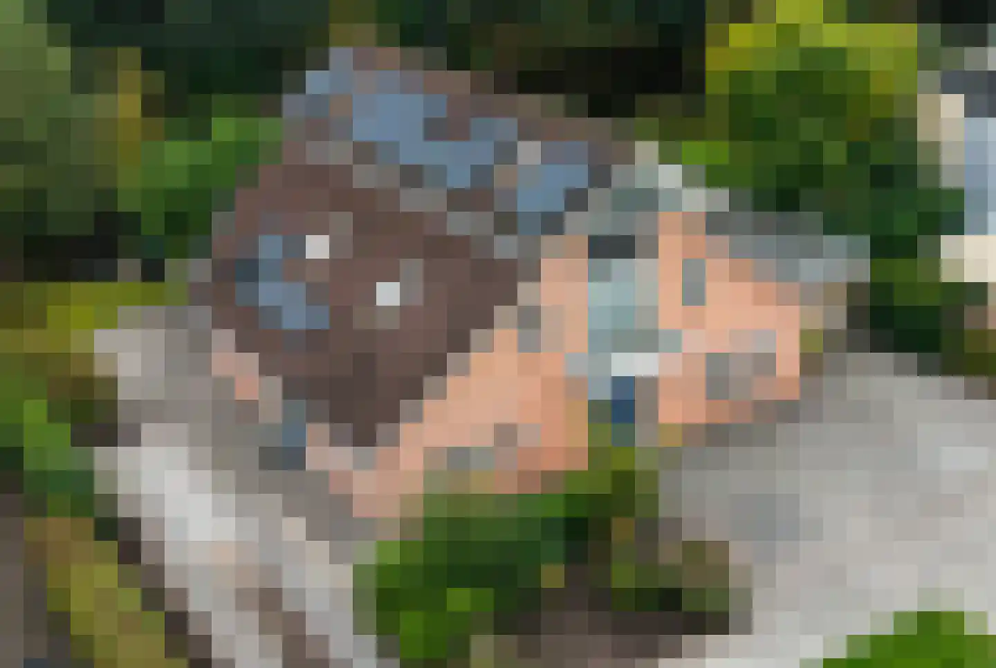 Steiger 10 Joure