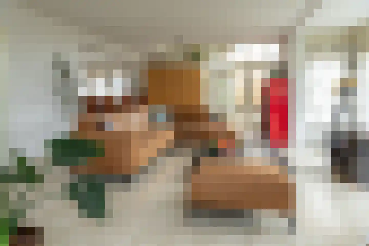 Steiger 10 Joure thumbnail 10
