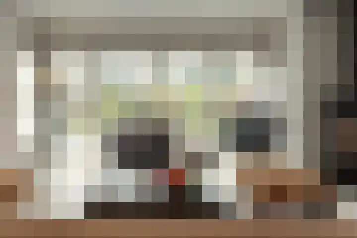 Steiger 10 Joure thumbnail 11
