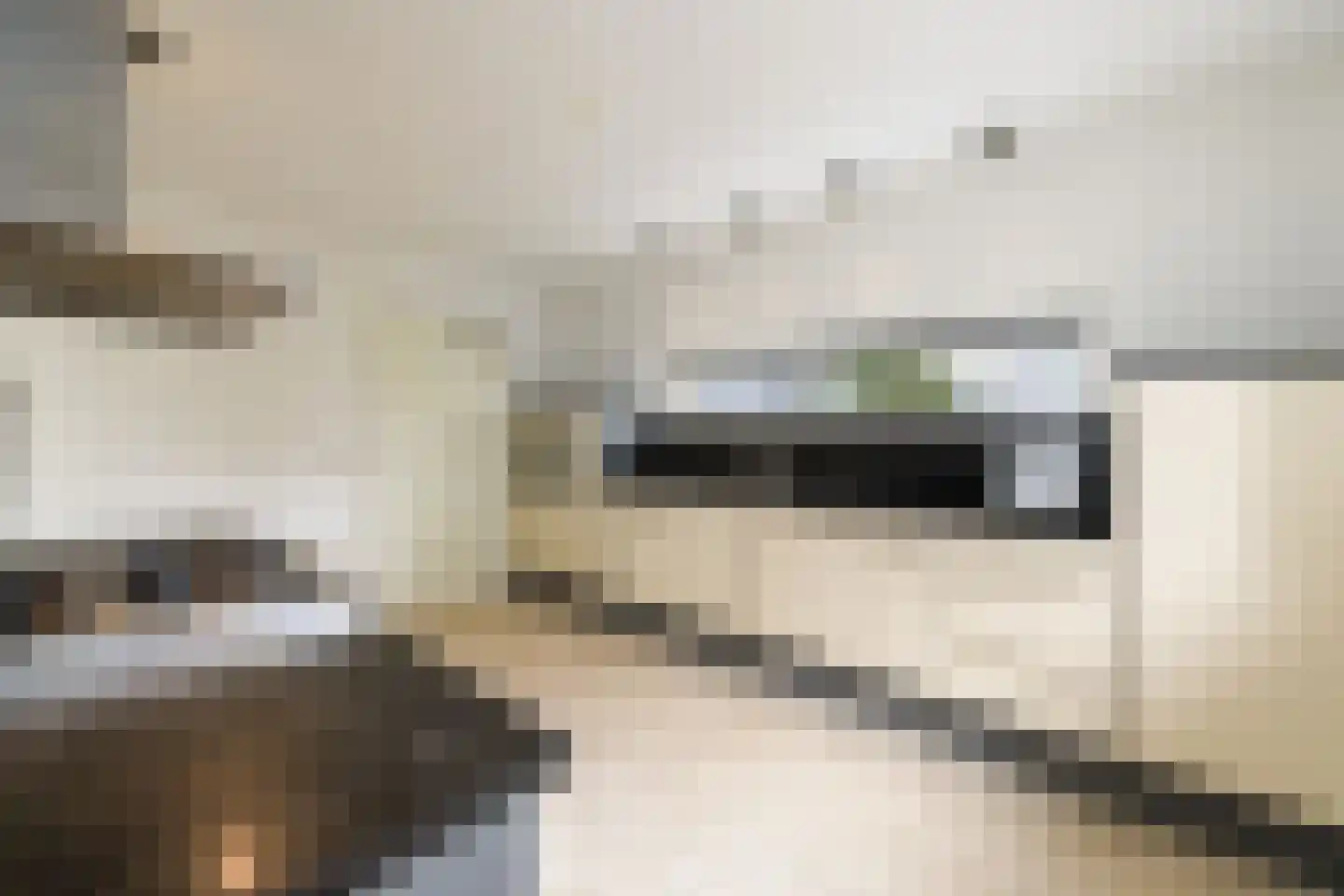 Steiger 10 Joure thumbnail 13